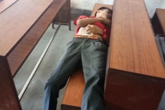 Disaster Mock Drill (11)