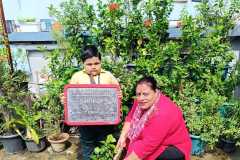 World Environment Day Celebration