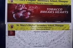 World No Tobacco Day (8)